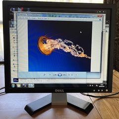 15 and 17 inch LCD Displays for sale