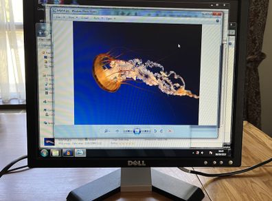 15 and 17 inch LCD Displays for sale