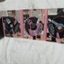 Bret Hart DVD Collectors Edition Region 1 DVD Set Like New WWE WWF Image 3
