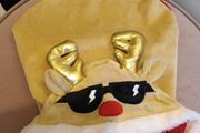 Funky rudolf dog coat