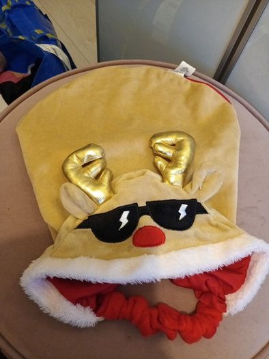 Funky rudolf dog coat