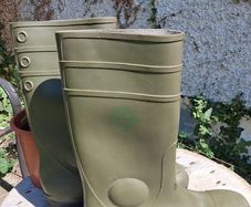 Dunlop wellies, wellington, boots
