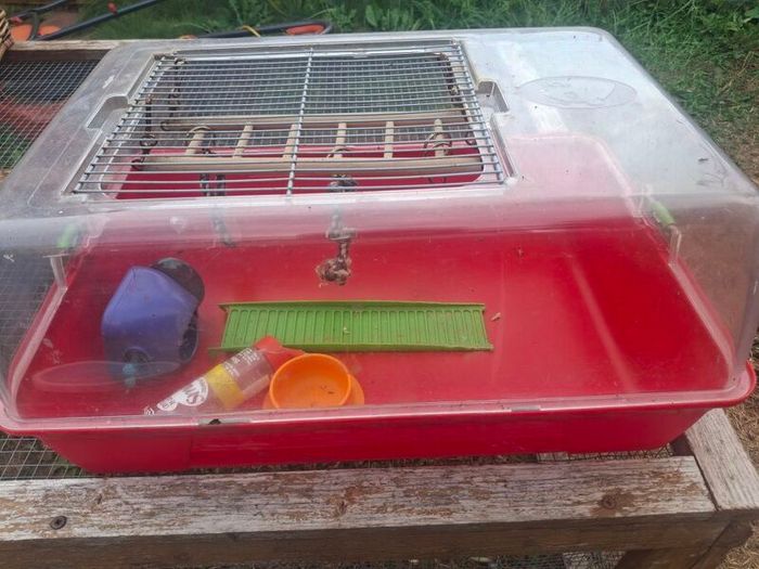 gerbil cage