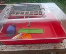 gerbil cage