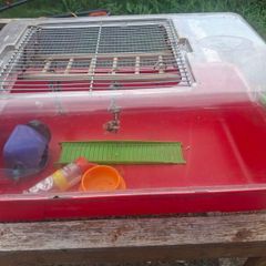 gerbil cage
