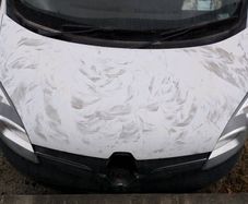 Renault kango parts
