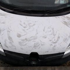 Renault kango parts