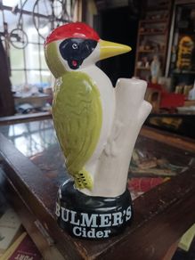 Bulmers wood pecker