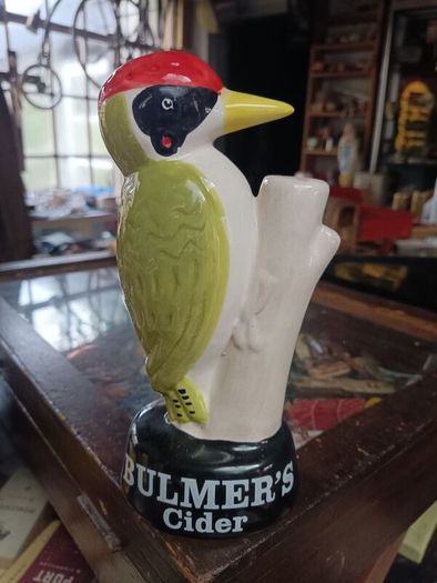 Bulmers wood pecker