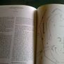 The Derrynaflan hoard 1 A preliminary account Tipperary Ireland Image 10