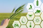 Leaving Cert Ag Science Project