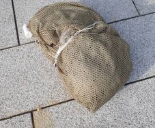 bait fish throw net