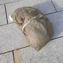 bait fish throw net