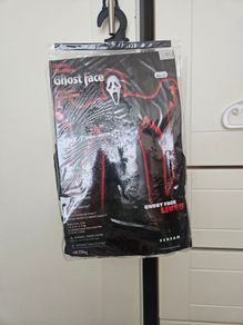 Halloween costume