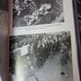 Enduring The Most/ The Life & Death of Terence MacSwiney / Francis J. Costello / 1st ed. 1995 Image 9