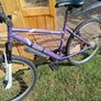adults mountain bike Image 2