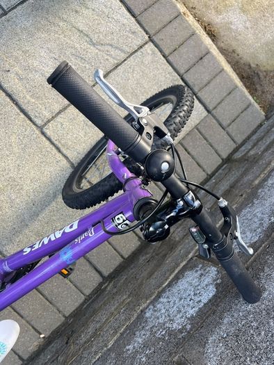 Dawes Paris 20 inch girls bike