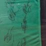 Signed Framed Ireland Euro 2016 Shirt Image 4