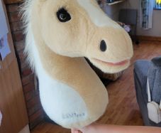 LeMieux hobby horse for sale