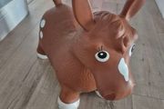 FREE Inflatable Horse Bouncer