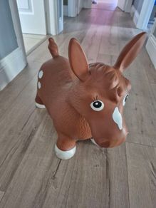 FREE Inflatable Horse Bouncer