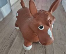 FREE Inflatable Horse Bouncer