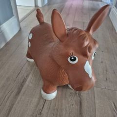 FREE Inflatable Horse Bouncer