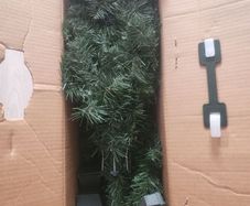 Christmas tree