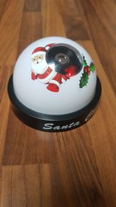 Santa Cam
