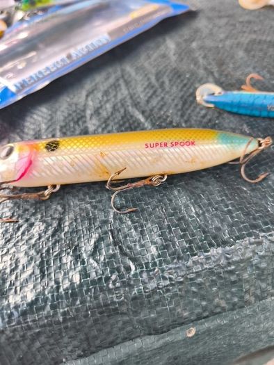 sea bass lures