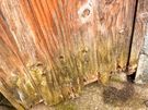 Custom Wooden Gate Replacement Image 7