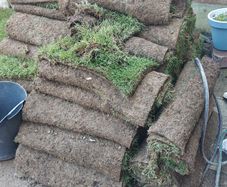 Premium Roll out grass