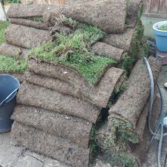 Premium Roll out grass