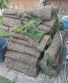Premium Roll out grass