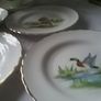 Tuscan 18 pieces Wild Fowl China Tea Wares Image 4