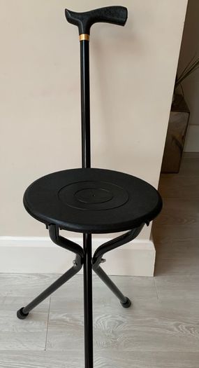 Walking stick with seat