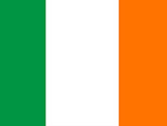 Irish Grinds for Junior and Leaving Certificate