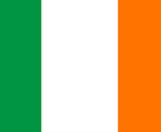 Irish Grinds for Junior and Leaving Certificate