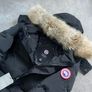 canada goose Image 7