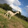 Stud Alpaca & Female Alpaca with Cria Image 3