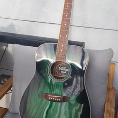 Acoustic Guitar (green sunburst) with soft case