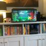 fish tank Image 6