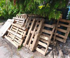 Pallets - free to take away