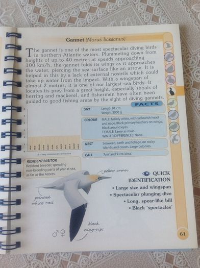 Coastal & Sea Birds Handbook