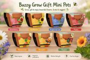 Bizzy Grow Gifts Mini Pots
