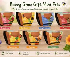 Bizzy Grow Gifts Mini Pots