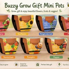 Bizzy Grow Gifts Mini Pots