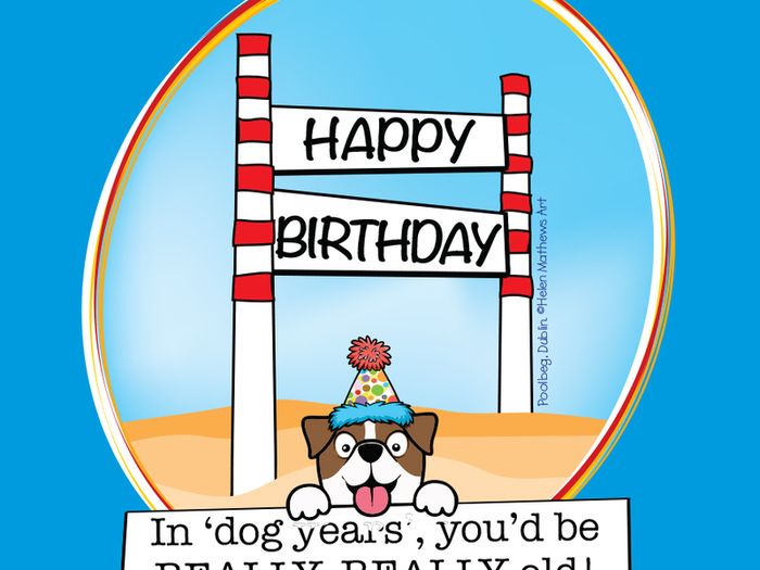 All Occasions, Fun Poolbeg Cards By Artist Helen Mathews