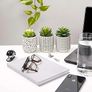Farmhouse Set-of-3-artificial-succulents-in-pots | Black & White Ceramic pots with fake succulents | Faux Plants Indoor Artificial Succulent pots 4.75" high, 3" wide | Small Fake Plants Image 3