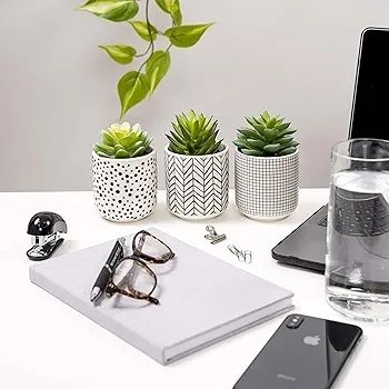Farmhouse Set-of-3-artificial-succulents-in-pots | Black & White Ceramic pots with fake succulents | Faux Plants Indoor Artificial Succulent pots 4.75" high, 3" wide | Small Fake Plants